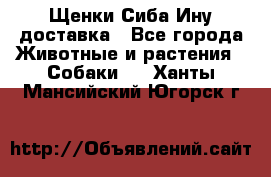 Щенки Сиба Ину доставка - Все города Животные и растения » Собаки   . Ханты-Мансийский,Югорск г.